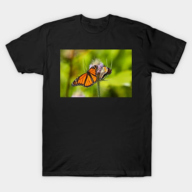 Wings Wide Shut T-Shirt by EugeJ